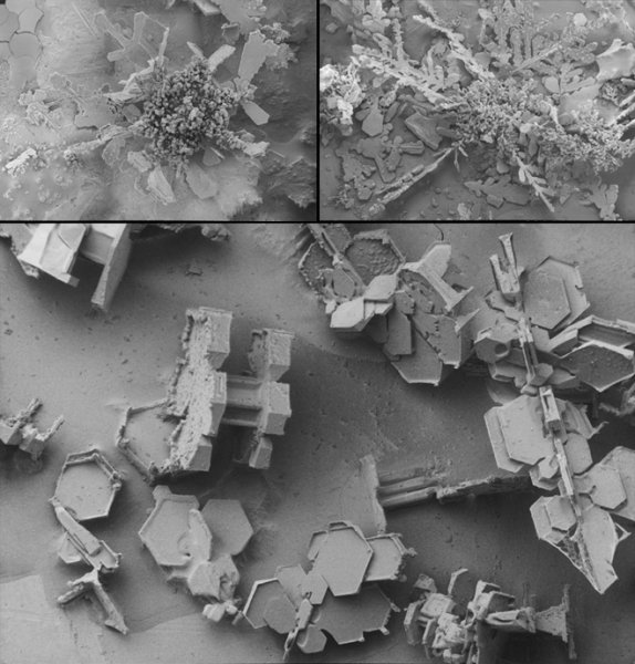 Снежинка под микроскопом