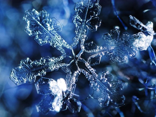 Снежинка под микроскопом