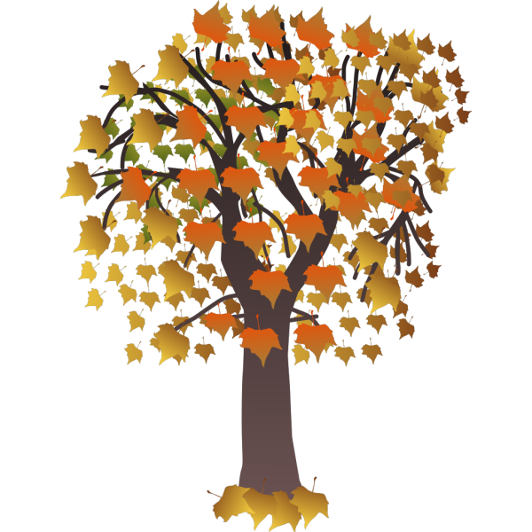 Осенние листочки деревьев