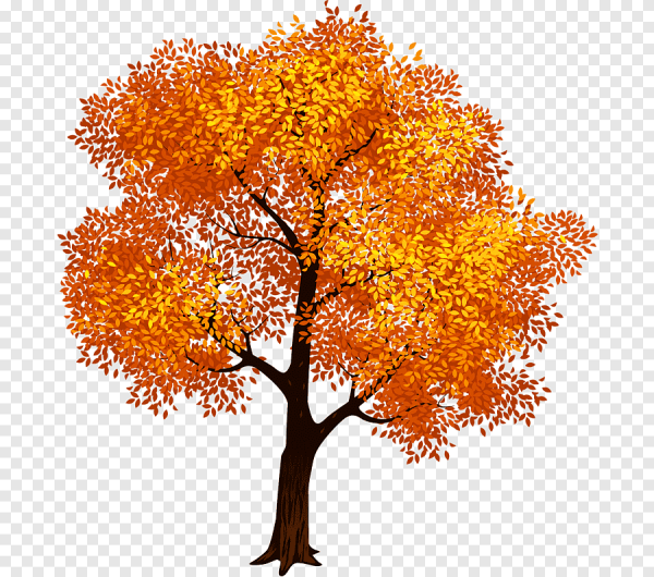 Осеннее дерево на белом фоне