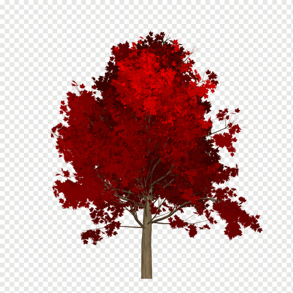 Осеннее дерево