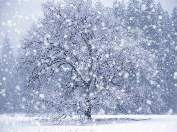 Падает пушистый снег