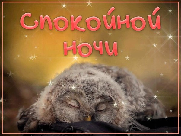 Доброй ночи Сова