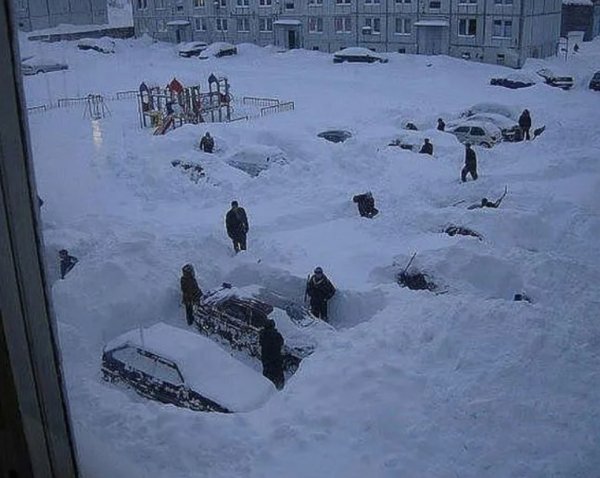 Приколы про снегопад