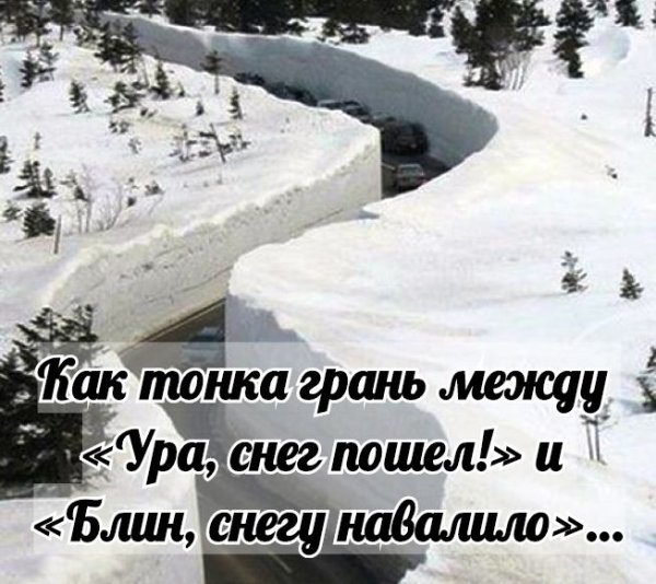 Смешные высказывания о снегопаде
