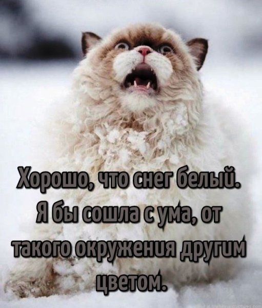 Статусы про снег