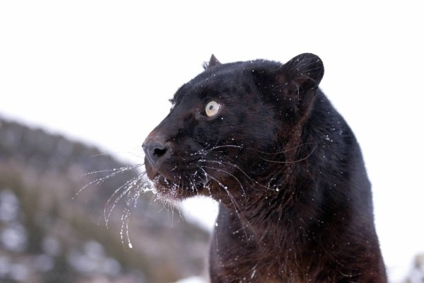 Джонатан Гриффитс фотограф