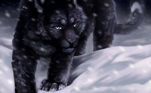 Черный Ирбис