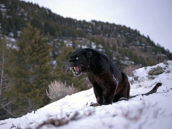 Джонатан Гриффитс фотограф