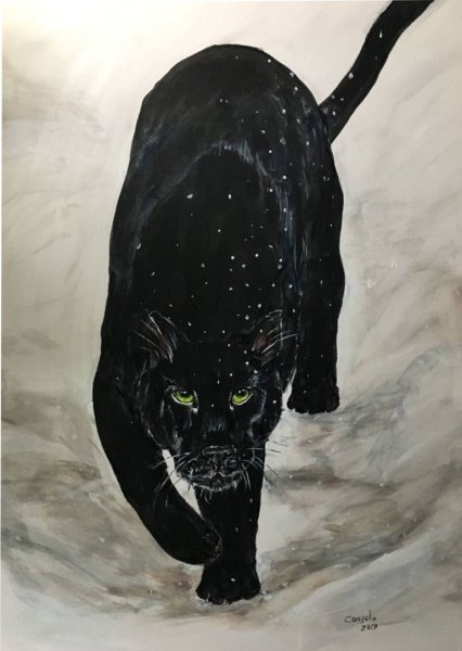 Черная пантера на снегу