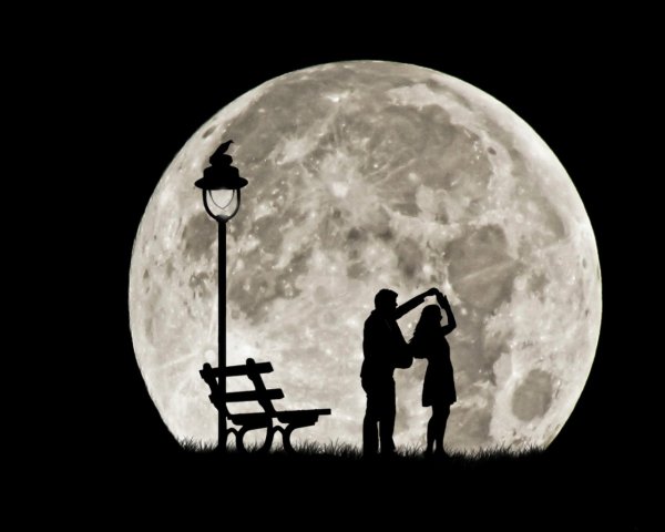 Парочка на фоне Луны
