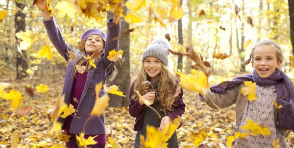 Осенние каникулы