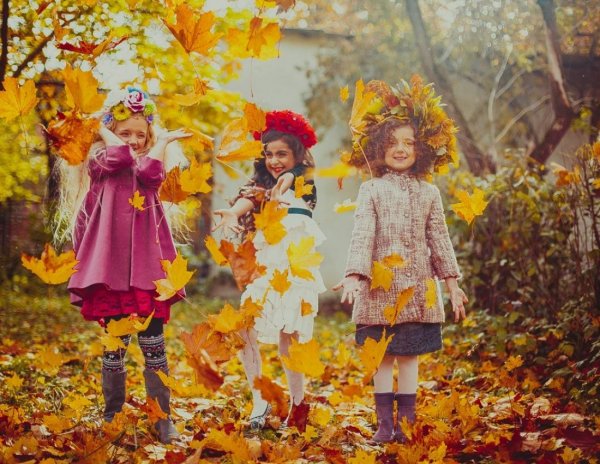 Осенняя тематика для детей