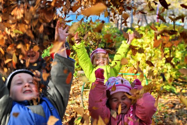 Дети радуются осени