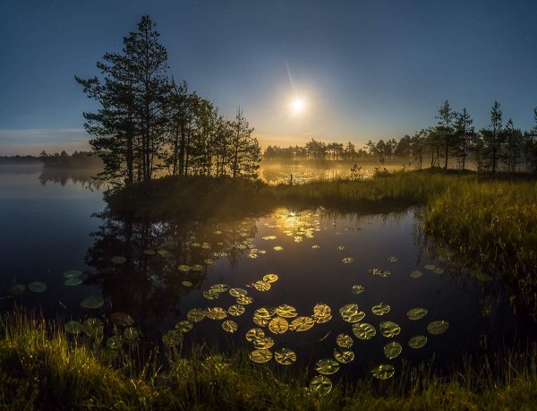Барковское озеро Ленинградская область