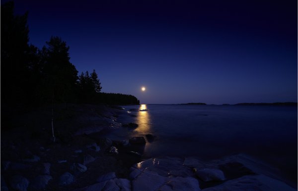 Лунная ночь на реке