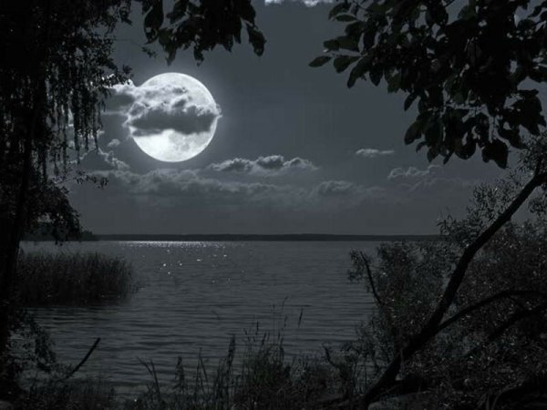 Луна над озером