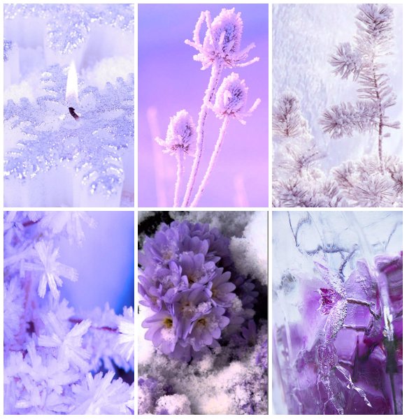 Лавандовый снег