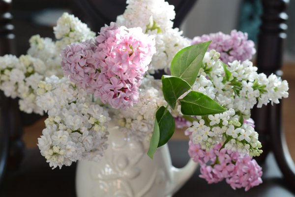 Букет Жасмин и сирень