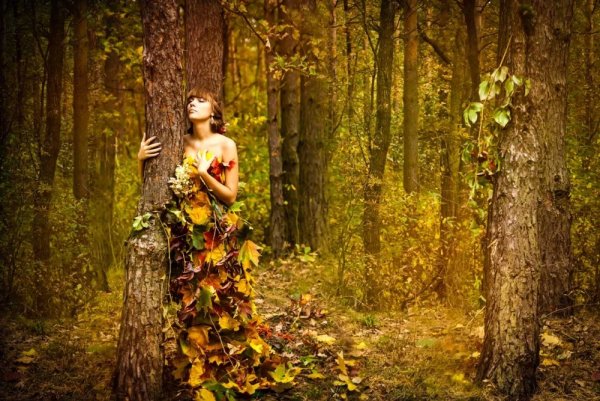 Фотосессия в осннемлесу