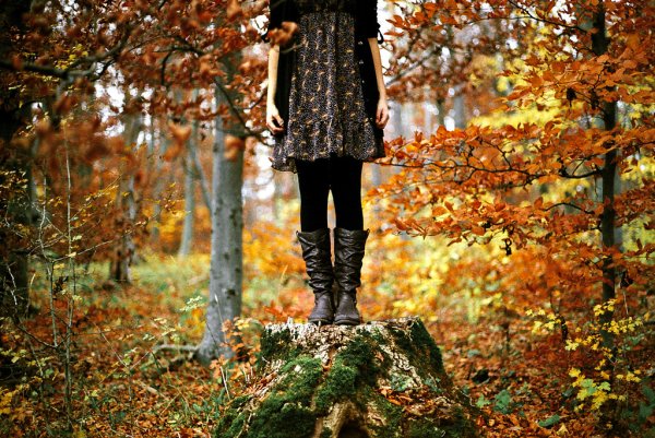 Девушка в пальто со спины осень