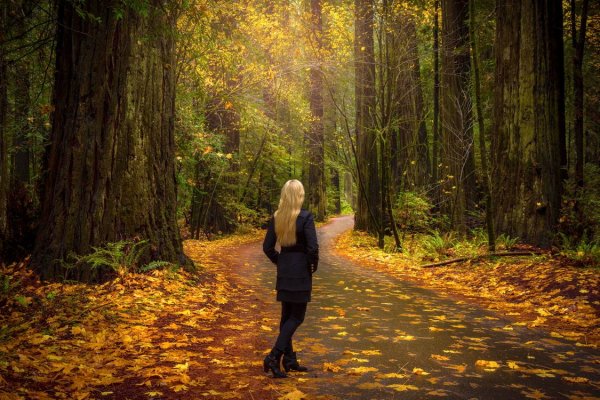 Блондинка в лесу осенью