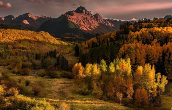 Осенний лес в горах
