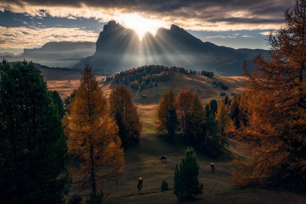 Осень лес горы