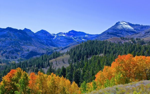 Осенний лес в горах