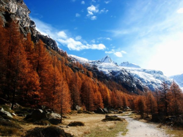 Осень лес горы
