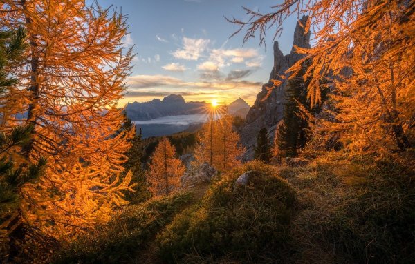 Осенний лес в горах