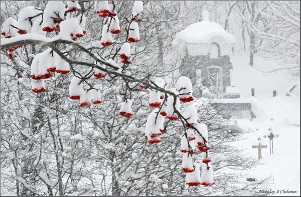 Снег пришел