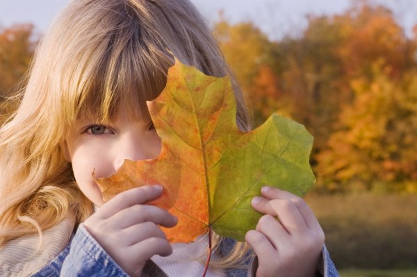 Осенние листья для детей