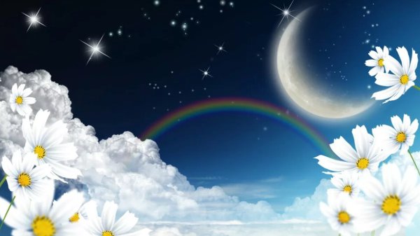 Ромашка в космосе