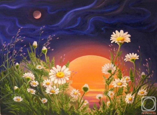 Планета ромашек