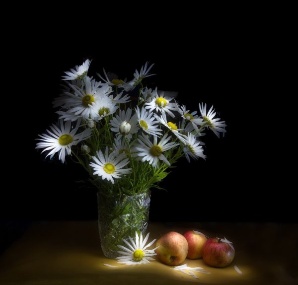 Ромашки в темноте