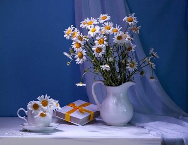 Добрый вечер ромашки