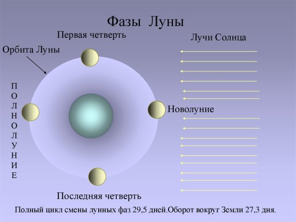 Первая и последняя четверть Луны