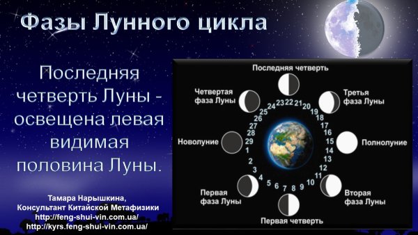 Цикл лунных фаз