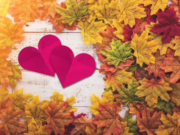 Сердечко из осенних листьев