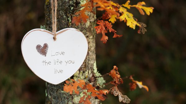 Осеннее сердечко