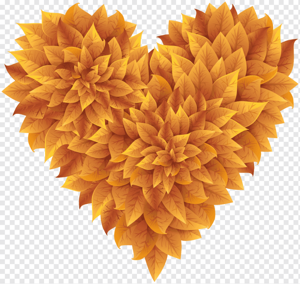 Сердце из осенних листьев