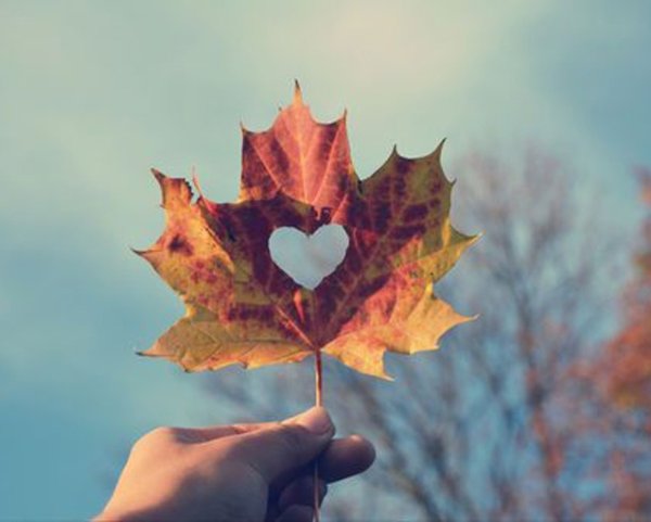 Осенний лист с сердечком