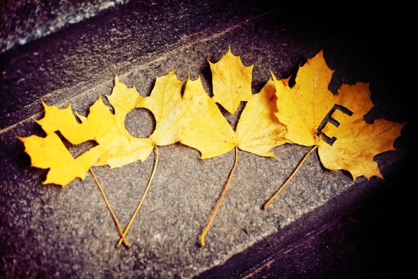 Осенний лист с вырезанным сердцем