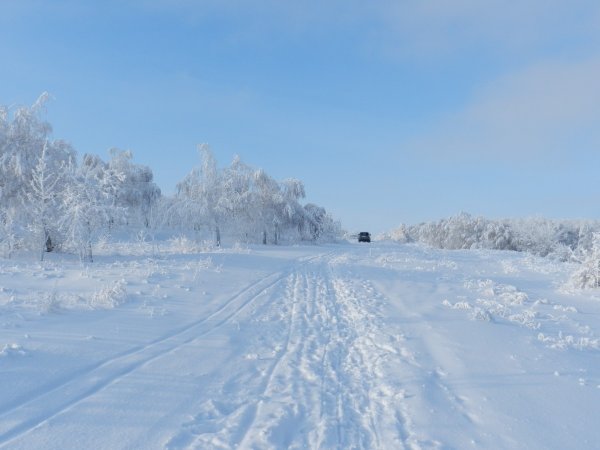 Заснеженная дорога в поле