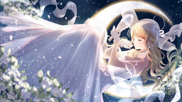 Аниме Miracle Nikki