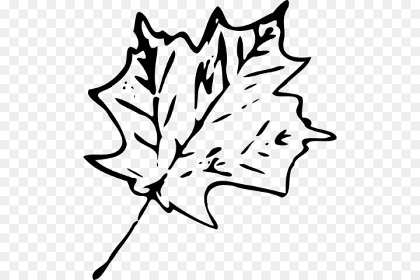 Листья черно белые