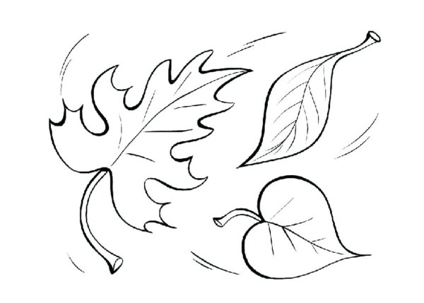 Трафареты на урок рисования для детей осенние листья