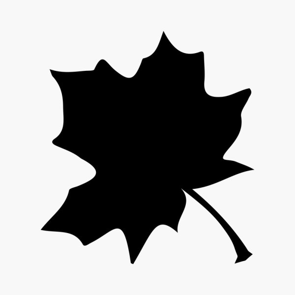 Кленовый лист