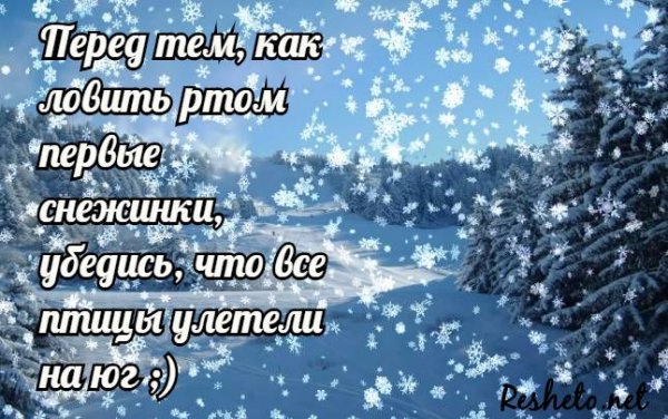 Веселые поздравления с первым снегом